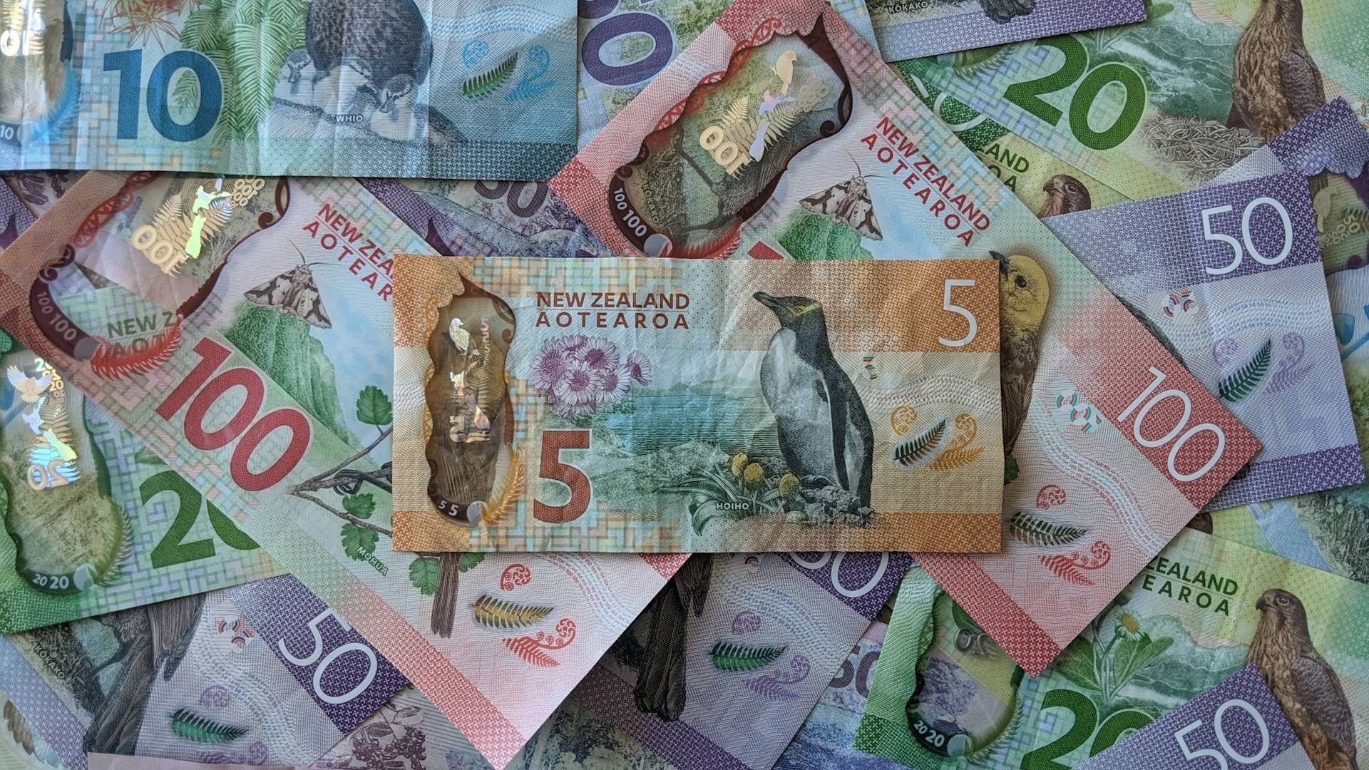 RBNZ tipped to hold off increasing the OCR at Wednesday's review