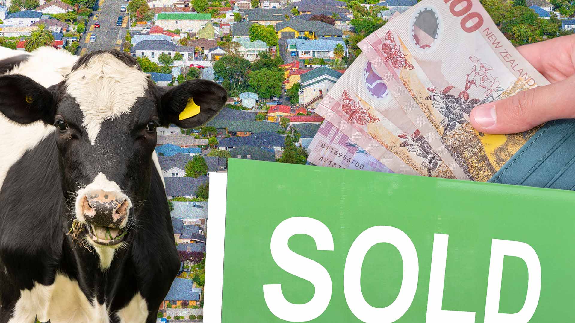 Rising mortgage rates could reduce house prices further - RBNZ